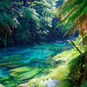 Best Free Things to Do in New Zealand