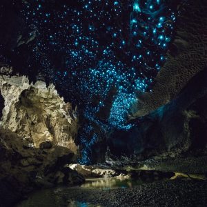 Te Ananui Glowworm Cave