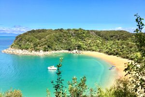 A stunning view of the pristine Abel Tasman Coast, showcasing its golden beaches and clear blue waters