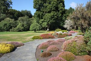Beautiful and vibrant flora at Christchurch Botanic Gardens, including colorful flowers and lush greenery, showcasing New Zealand's natural beauty.