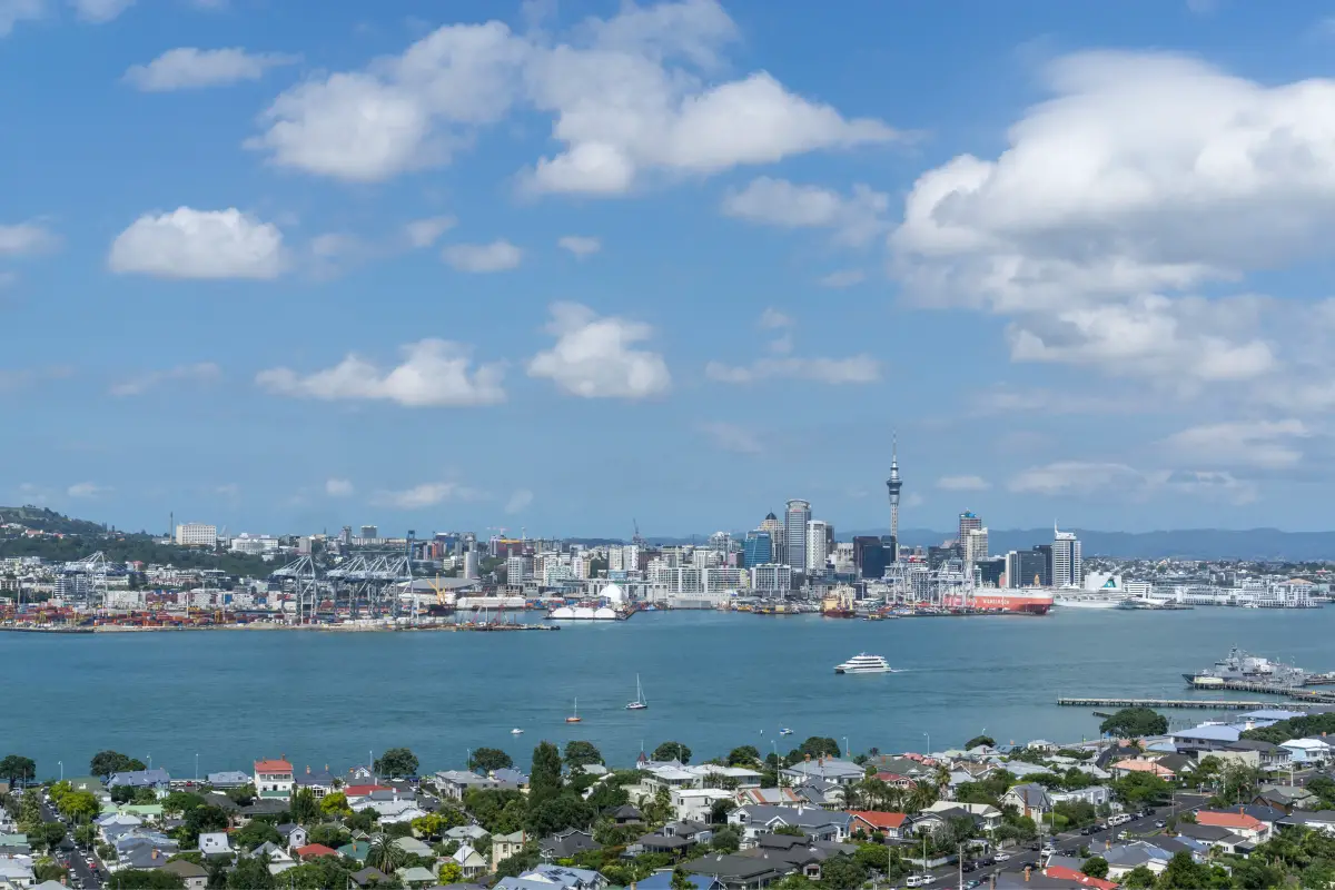 Mount Victoria Auckland View