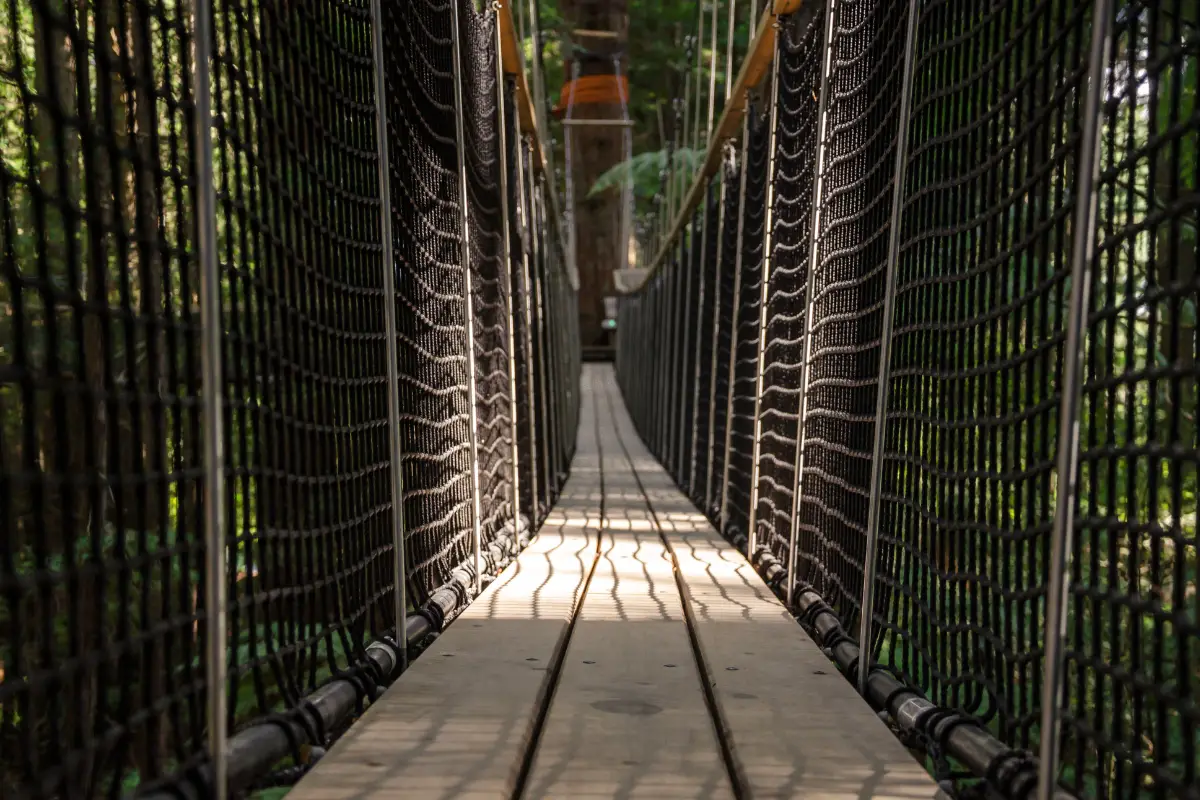 Rope Suspension Bridge in Redwood forest, New Zealand