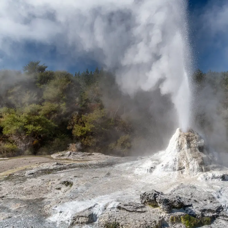 Wai-O-Tapu's Geothermal