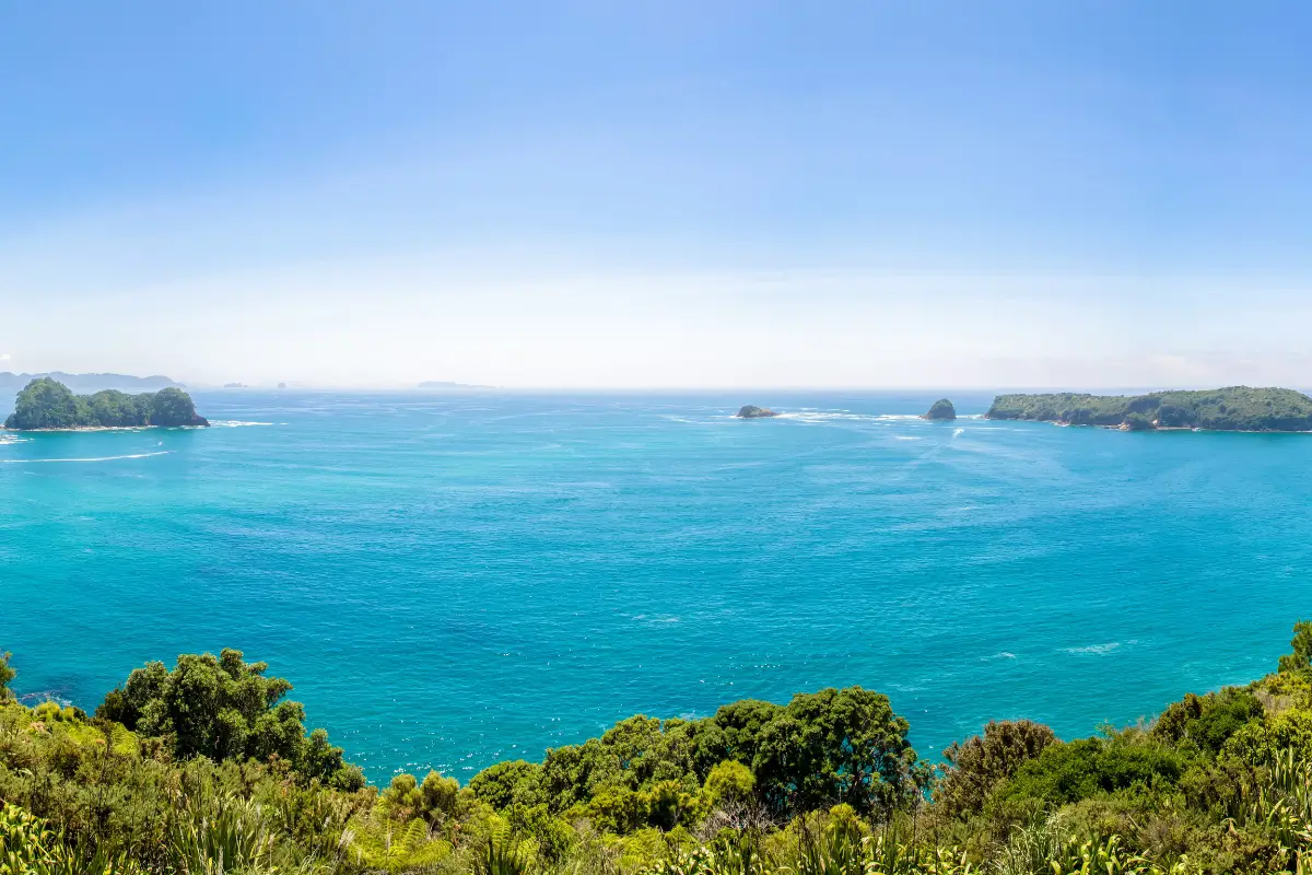 pacific ocean view from Cathedral Cove New Zealand