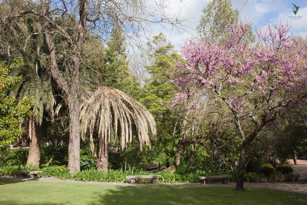 Jardim Da Estrela in Lisbon