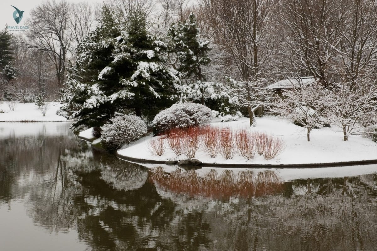 Missouri Botanical Garden during winter