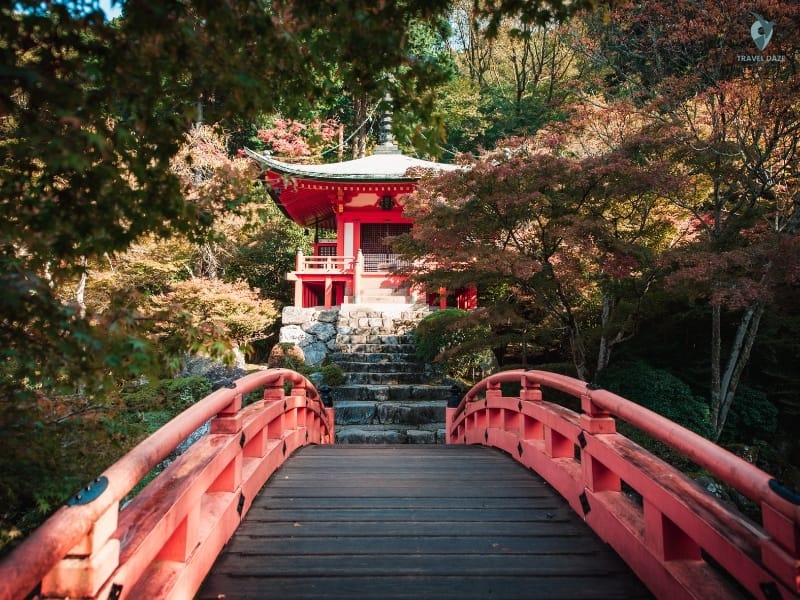 Autumn foliage spots