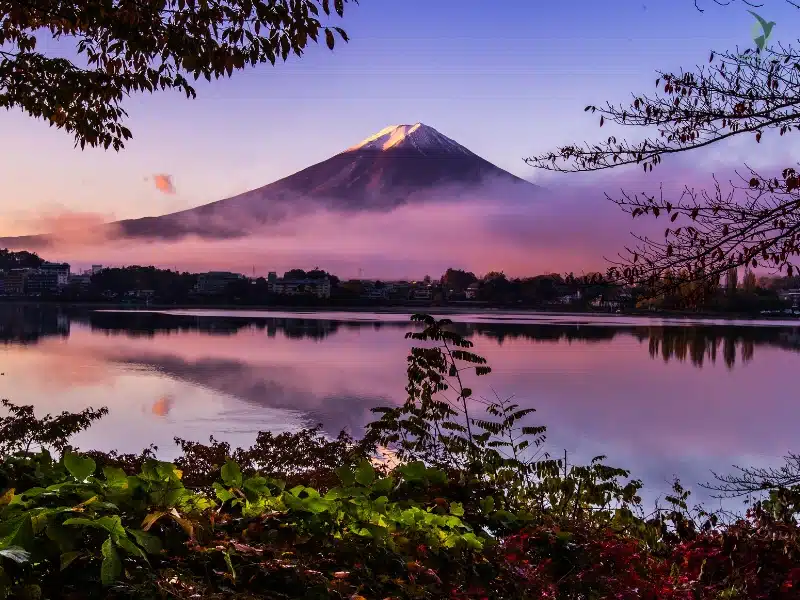 Hidden Gems in Kyoto You Need to See
